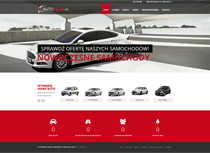 strona internetowa dla wypozyczalni samochodow